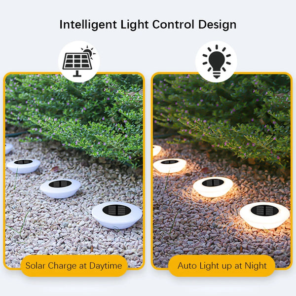 Solar Glow Pathway Lights